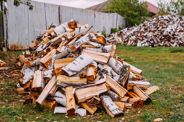 chopped birch wood on green grass