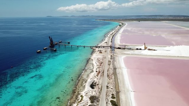 rose caribbean salt lake Bonaire island aerial drone top view 4K UHD video 