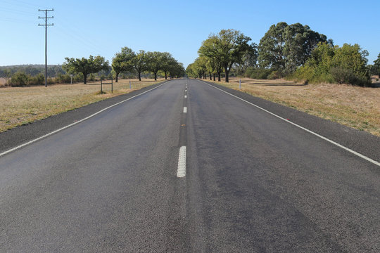 Green Trees Line An Avenue Of Honour In Rural Australia