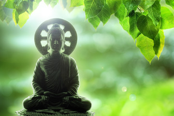soft focus buddha statue, bodhi leaf with double exposure and len flared, dhamma concept. - obrazy, fototapety, plakaty
