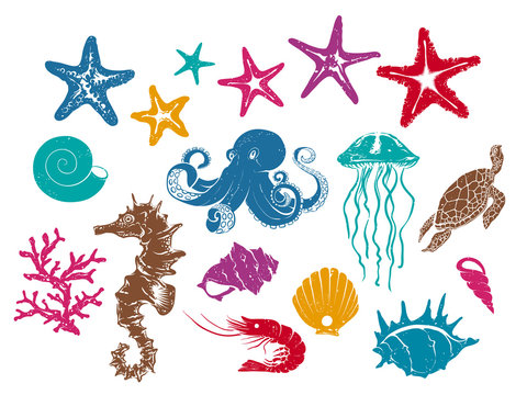 Set of Vector Drawings Underwater Creatures