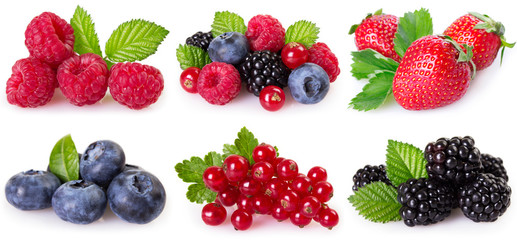 Collection of berries on white background - 218024999