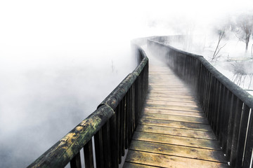 Obraz premium Entre la Niebla
