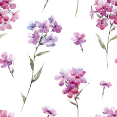 Fototapeta na wymiar Watercolor floral phlox vector pattern