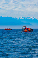 boat trip in Canada- trying to spot some whales