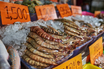 Fresh shrimps, prawns, king prawn, blue leg shrimp, giant prawn, tiger prawn  in ice in the fish market in Asia. Prawns in various  is a good source of protein. Healthy and dieting food concept..