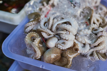 Close up of fresh squid (octopus) in a wet market on table top ready for sale at a local fishing village. Best ingredient for traditional asian dishes. Сoncept of healthy eating.