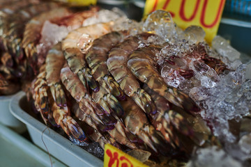 Raw giant shrimp  for sale at a fish counter. Close up fresh raw shrimps on display on ice in fisherman shop. Whole tiger prawns on ice. The market scene. Shot with a selective focus.