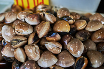 Seafood on ice at the fish market. Fresh raw cockles in a wet market on table top ready for sale at a local fishing village. Best ingredient for traditional asian dishes. Сoncept of healthy eating.