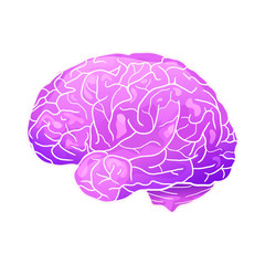 Cartoon neon illustration of a human brain with highlights and shadows. Side view. The object is separate from the background. Vector element for your creativity