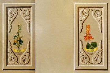 Illustrative botanical painting-Saint Joseph the Worker Cathedral. Tagbilaran city-Bohol island-Philippines-0628