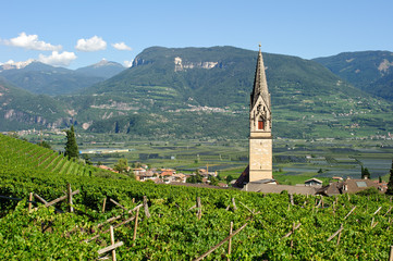Tramin in Südtirol