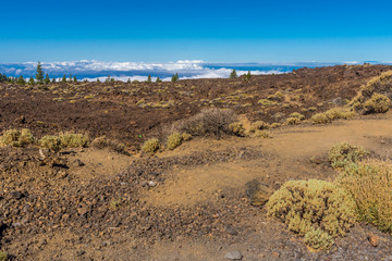 Trockenheit und Dürre legt sich über die Landschaften auf Teneriffa