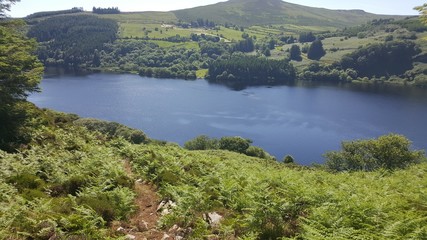 Obraz premium lake