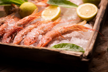 Fresh tiger prawns on ice