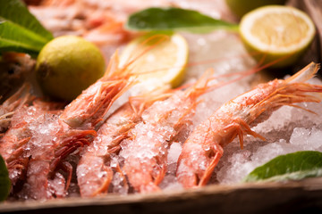 Fresh tiger prawns on ice