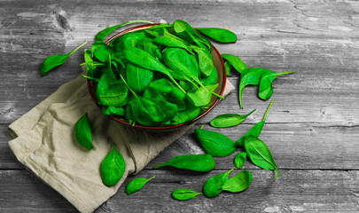 Fresh green leaves mini spinach in ceramic bowl. Spinach leaves on the gray wooden rustic...