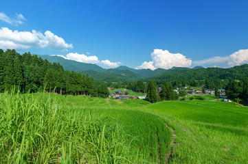 Obraz premium 【新潟県三条市北五百川】北五百川の棚田は粟ヶ岳の裾野に位置し、日本の棚田100選に選ばれている。 