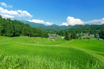 Gardinen 【新潟県三条市北五百川】北五百川の棚田は粟ヶ岳の裾野に位置し、日本の棚田100選に選ばれている。 © ikeda_a