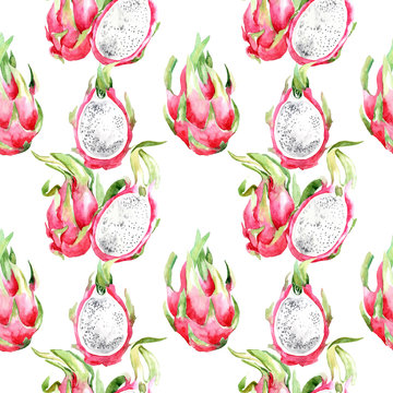 Watercolor seamless pattern with hand drawn illustration pitahaya or dragon fruit