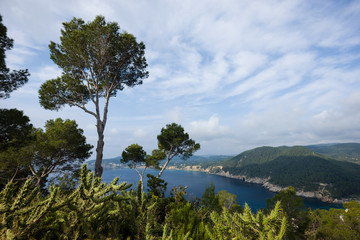 Ibiza coast