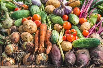 Assorted vegetable background, bio organic vegetables, fresh farm produce on farmer market