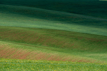 Obraz premium The lines of green hills create beautiful patterns like waves. Partially illuminated by the sun. Beautiful background