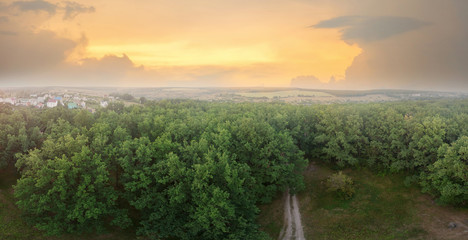 Forest at sunset