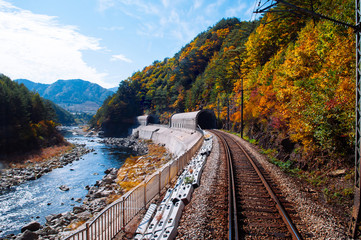 Fototapeta premium Train tracks and tunnels along stream and autumn forest Baekdudaegan Mountain Range Canyon, South Korea