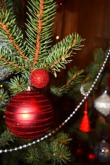 Christmas decoration on fir tree. Red and white balls