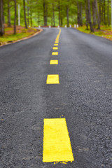 Fototapeta na wymiar Asphalt road with yellow line marking on road surface for separate lanes