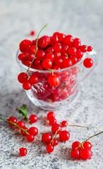 Still life red currant berries in glass mug on marble table background. Selective focus. Copy space.