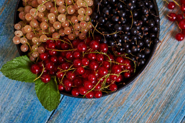 Healthy set of fresh berries - black currant, red currant and white currant in bowl on wooden background. Summer berries background. Close up, top view.