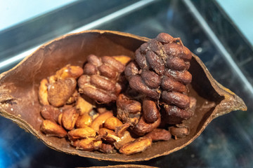 Cocoa pod with cocoa beans.