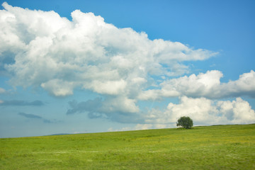 pejzaż 