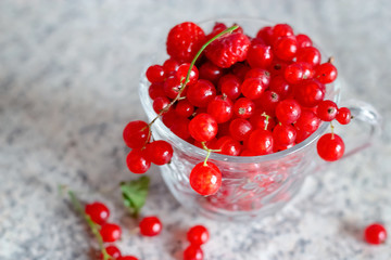 Still life red currant berries in glass mug on marble table background. Selective focus. Copy space.