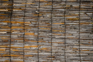 dry bamboo texture