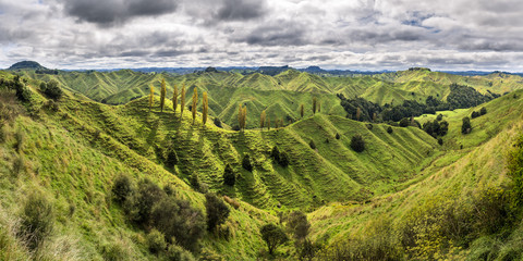 New Zealand, North Island, Taranaki, landscape seen from Forgotten World Highway