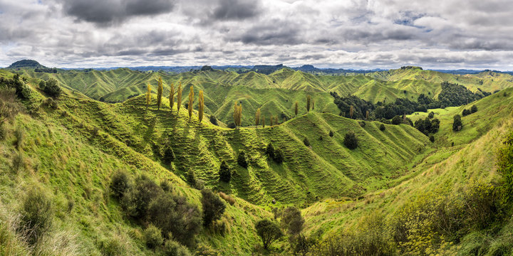 New Zealand, North Island, Taranaki, landscape seen from Forgotten World Highway