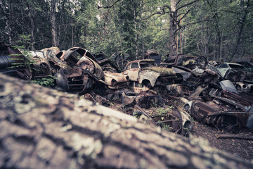 Alte Autos auf einem Schrottplatz