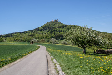 Fototapeta na wymiar Hohenzollern Castle, Germany