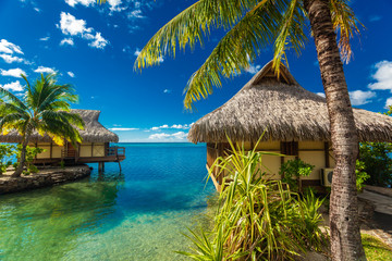 Over water bungalows and green lagoon, Moorea, French Polynesia