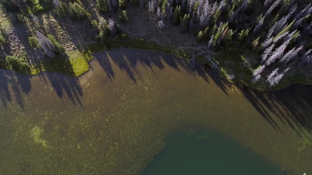 Looking down at lake in forest viewing boat below moving across the green pond in Utah.