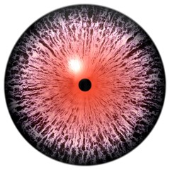 Wolf animal 3d eyeball texture, pink round with colorized eye texture, white background