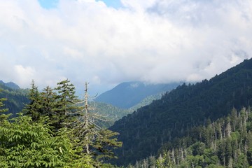 The clouds and fog in the mountains of Tennessee. 
