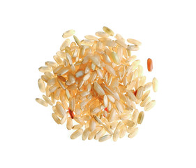 rice seed on white background