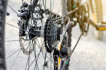 Rear bicycle wheel, sprockets, chain, forward movement.
