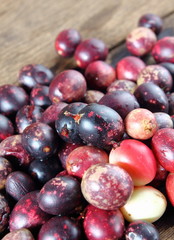 karonda fruit for health herb in thailand