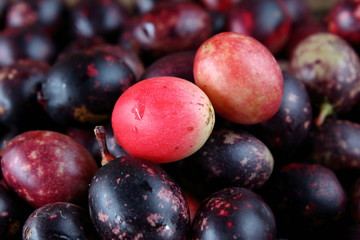  karonda fruit for health herb in thailand
