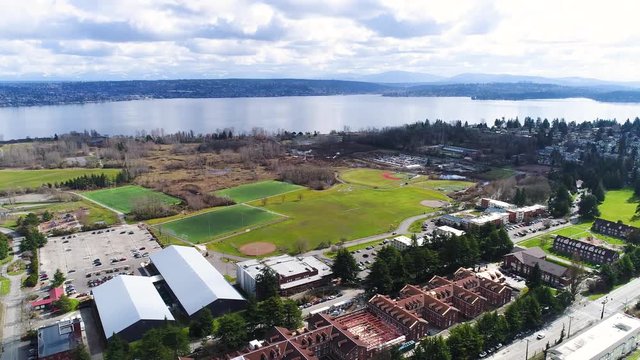 Seattle town green